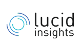 Lucid insights logo small image
