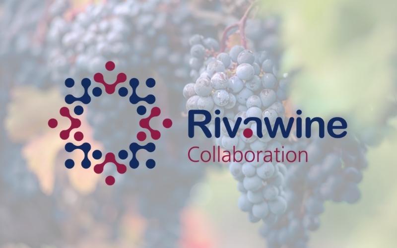 Rivawine collaboration