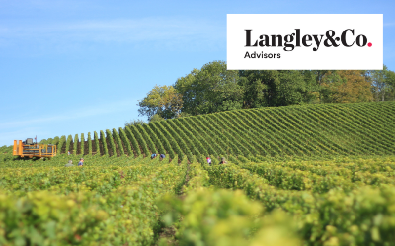 Langley and Co advisors vineyard