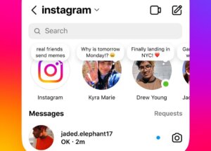 Instagram notes feature