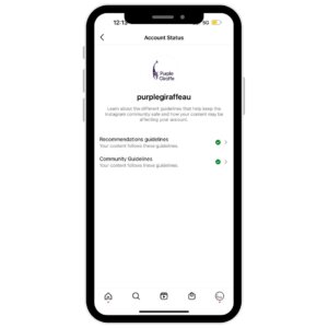 iPhone with Instagram Guidelines Settings 